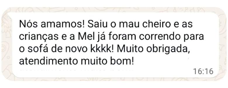 Blue Higienização